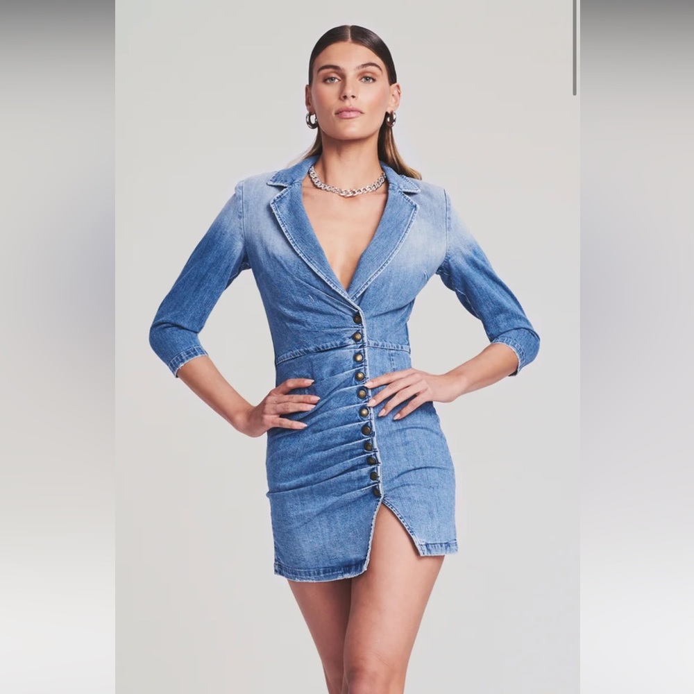 Retrofete Willa denim dress; Size XS; New With Tags